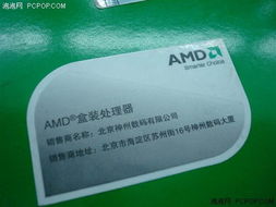 入門就選他！AMD新款閃龍僅260元，廣告設計新選擇